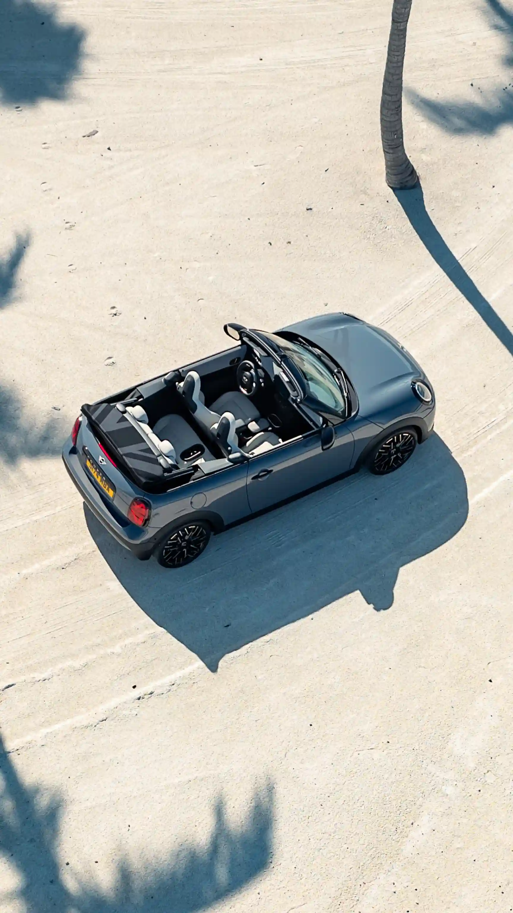 MINI Cooper Cabrio - Palmy